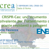 Copertina evento