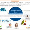Foto Convegno Biodiversità 