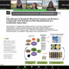 Foto  webinar