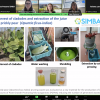 Foto webinar 