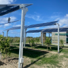 Impianto dimostratore agrivoltaico realizzato a Scalea (CS). 