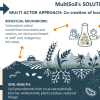 multisoil solutions