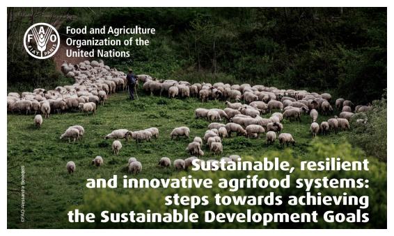 Leaflet FAO MOU