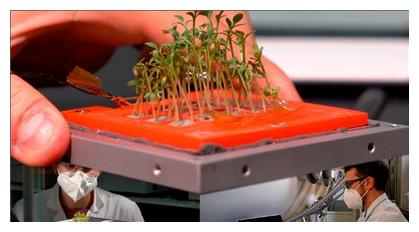 Foto greencube