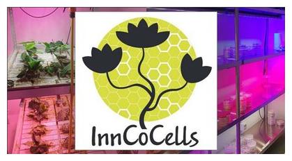 logo inncocells
