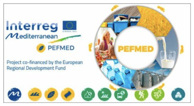 logo PEFMED PLUS