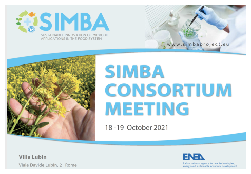 Logo Progetto SIMBA