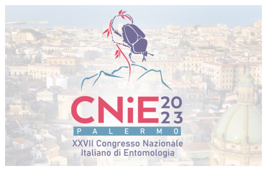 Copertina convegno