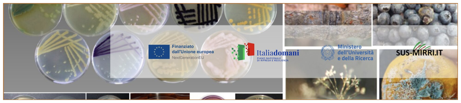 Copertina bando