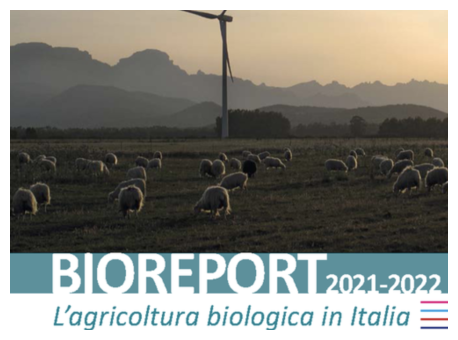 Copertina Bioreport