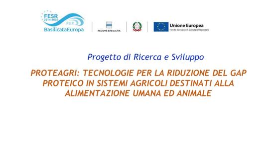 Titolo di progetto e logo partner.