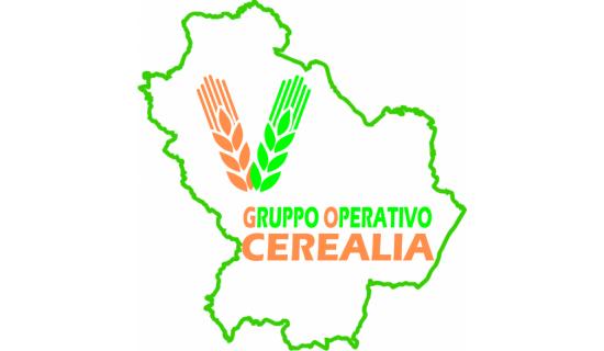 logo Lucan Cereals