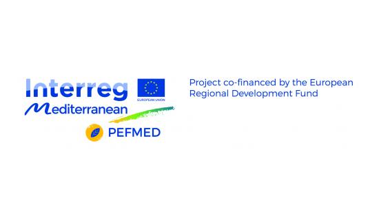 logo_colour_erdf_pefmed.jpg 