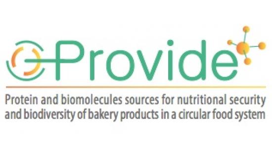 Logo Progetto Provide
