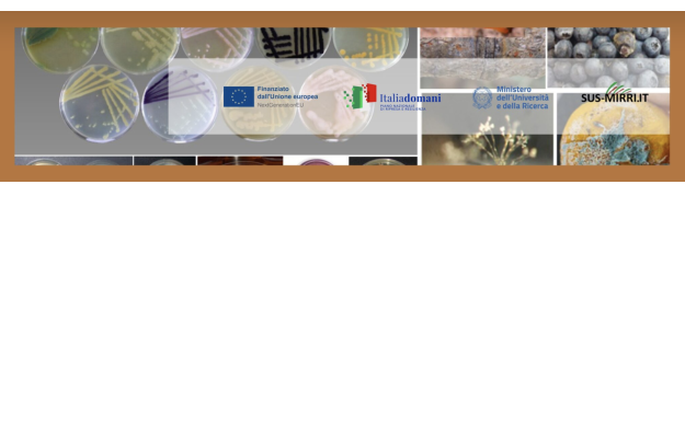 Logo progetto