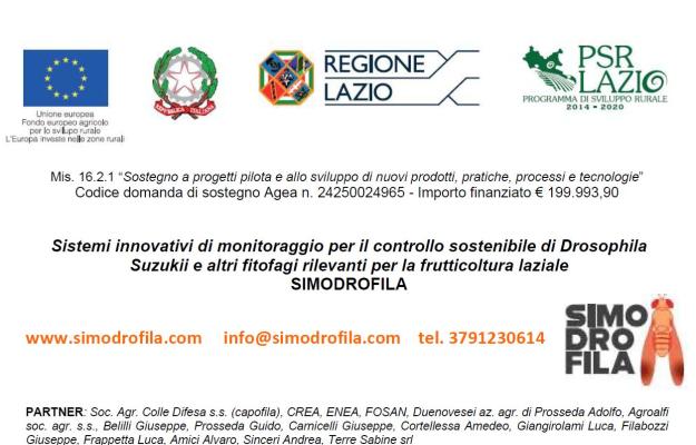 Copertina progetto