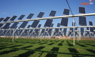 Agrovoltaico® plant Rem Power Virgilio, Borgo Virgilio, Mantua, Italy, 2011, Photo by Nicola Ventura