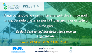 Locandina del webianr sullo sfondo un impianto di agrivoltaico 