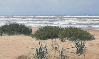 Costa mare dune Costa mare dune