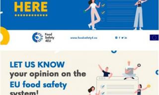 logo foodsafety4eu