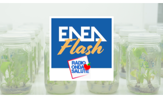 coltivare senza suolo- radio onda salute 