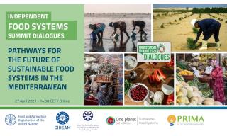 Logo evento Independent Food Systems Summit Dialogues