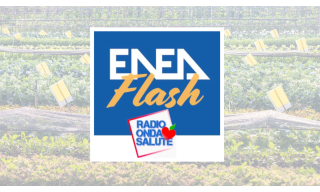 podcast-radio onda salute; insetti_alieni_e_agricoltura
