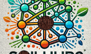 Logo di progetto