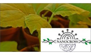 Progetto Nanocross