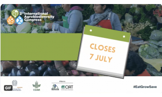 Locandina call for abstracts