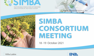 Logo Progetto SIMBA