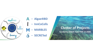 Logo cluster