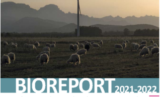 Copertina Bioreport