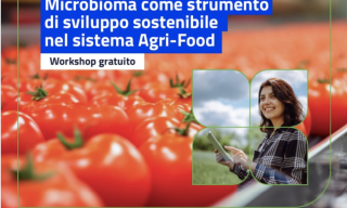 Copertina workshop