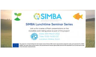 SIMBA seminar