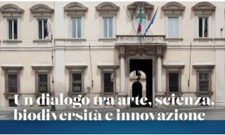 immagine di copertina festival è cultura